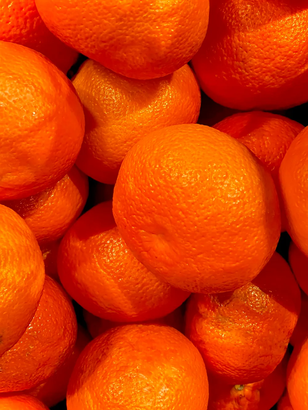 Naranjas frescas para ilustrar la compra de fruta en hoteles