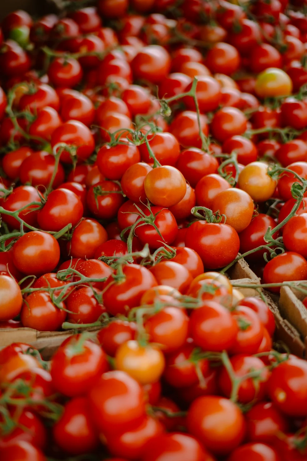 Tomates en cajas como referencia de producto para cocina